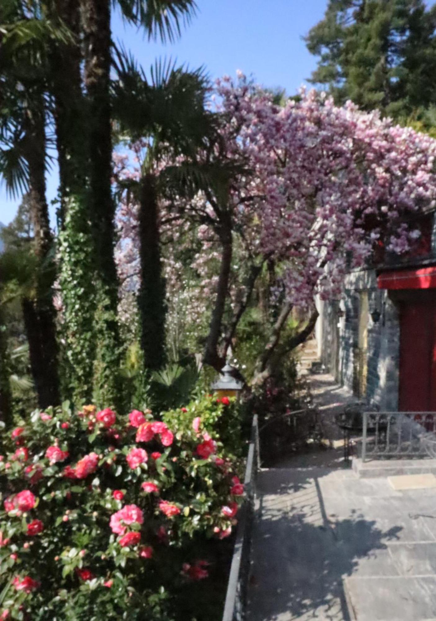 Barony Le Pergole Holiday Apartments Lugano Exterior foto